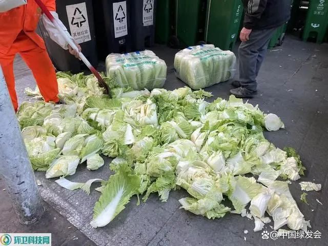 大白菜變成廚余垃圾后更值錢？