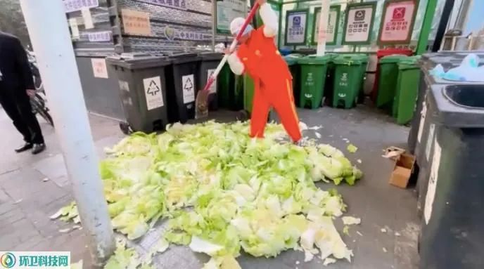 大白菜變成廚余垃圾后更值錢？