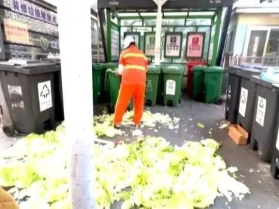 大白菜直接變成廚余垃圾更值錢？