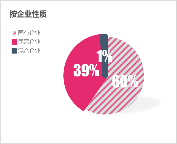 玉龍環保：2024年2月份百強企業格局