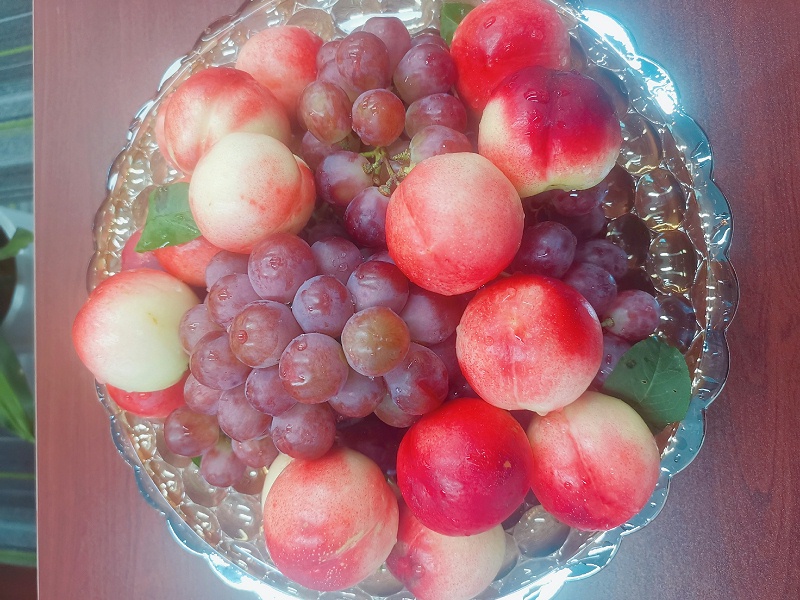 玉龍環(huán)保端午節茶話(huà)會(huì )