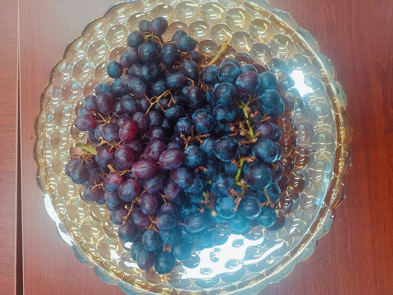 玉龍環(huán)保端午節茶話(huà)會(huì )5