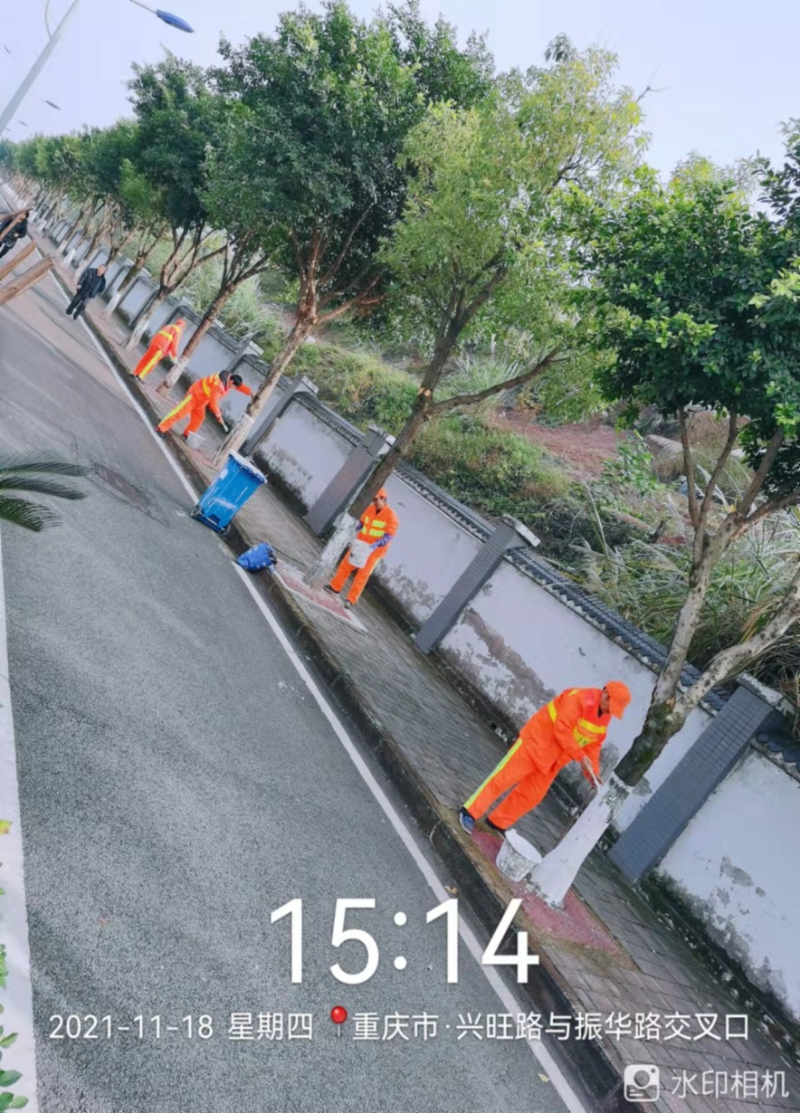 玉龍環保：刷白護樹