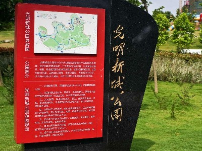 深圳市光明區光僑路片區清掃保潔服務