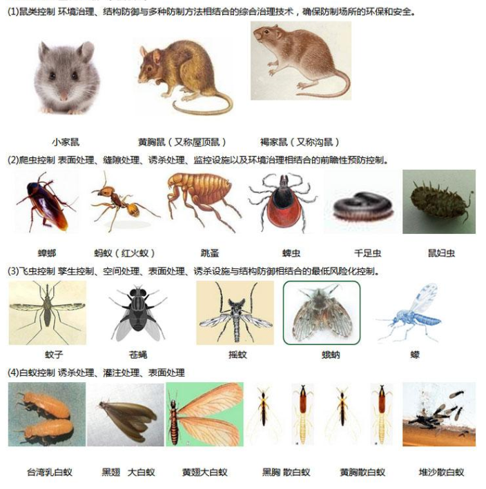 蟲害的治理1